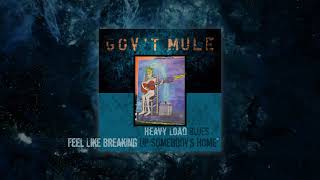 Gov't Mule - Feel Like Breaking Up Somebody's Home (Visualizer Video) chords