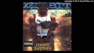 Xzibit - Celebrity Deathmatch 1999