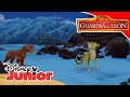 La Guardia del León: Manada nocturna | Disney Junior Oficial