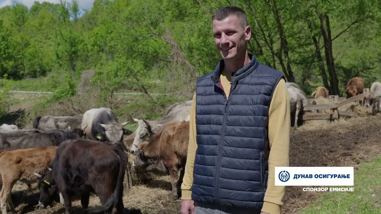 Naša priča ep. 454 09.05.2024. Marko Marinković, Dučalovići, autohtono balkansko goveče - buša