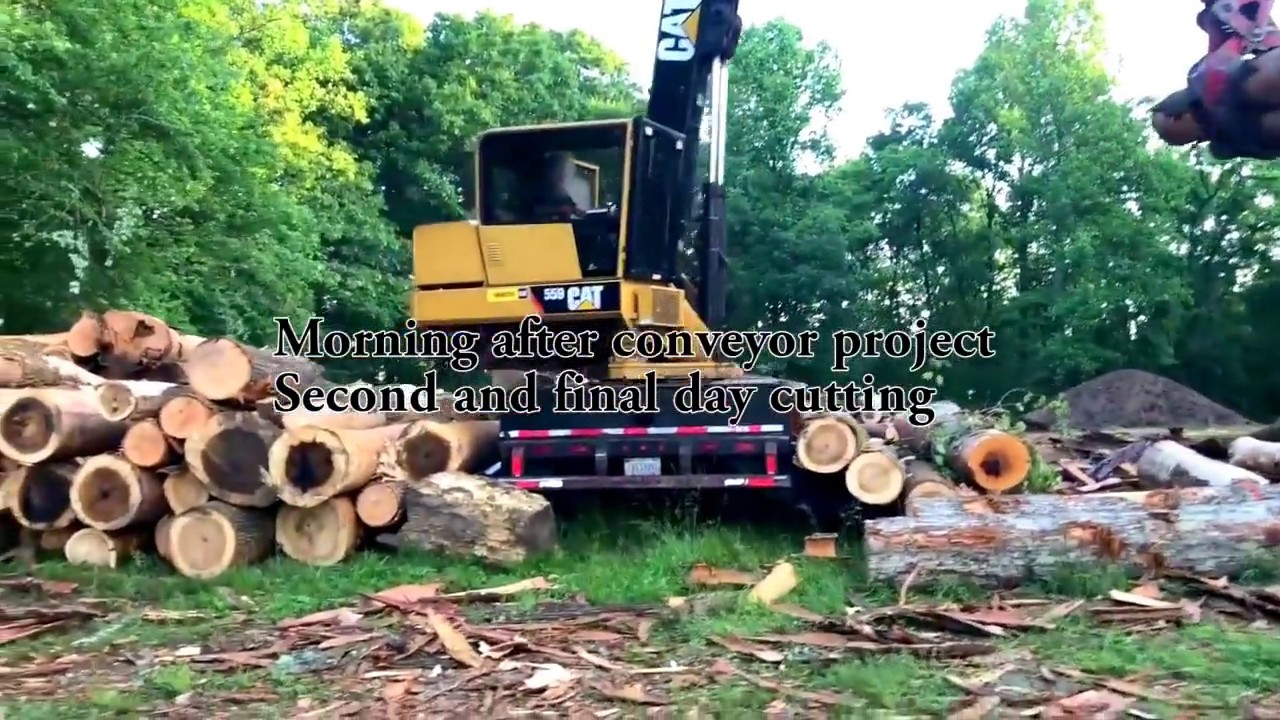 My buddy's timber!!!! YouTube