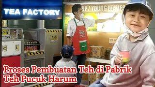 Teh Pucuk Harum Kidzania Jakarta | Melihat Langsung Proses Pembuatan Teh Pucuk Harum Di Tea Factory