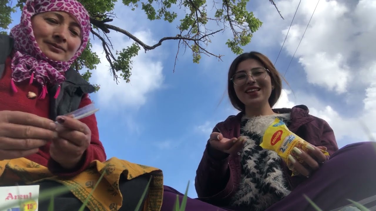 Went to my hometown Tingmosgang||did field work for the first time||leh ladakh