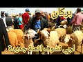 أسعار خروف عيد الأضحى في بركان زجديد 🐑 تعرف على التفاصيل في الفيديو الكامل