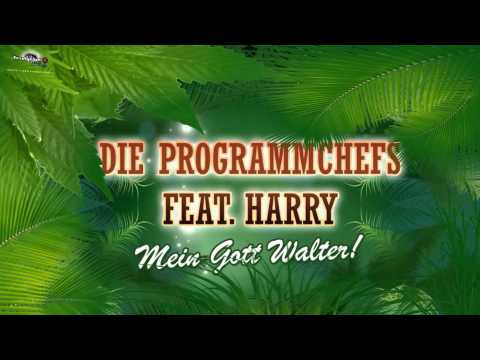 Video starten