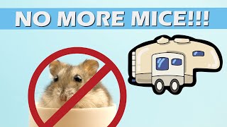 Mouse Proof Your RV  We could not believe where they were getting in