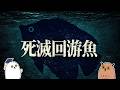 【ゆっくり解説】死滅回遊魚の正体【 進化論 / 科学 】