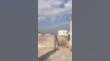 Bailone ❤️ #shorts #youtubeshorts #shortsvideo #youtube #shortvideo #viral #video #love #explore