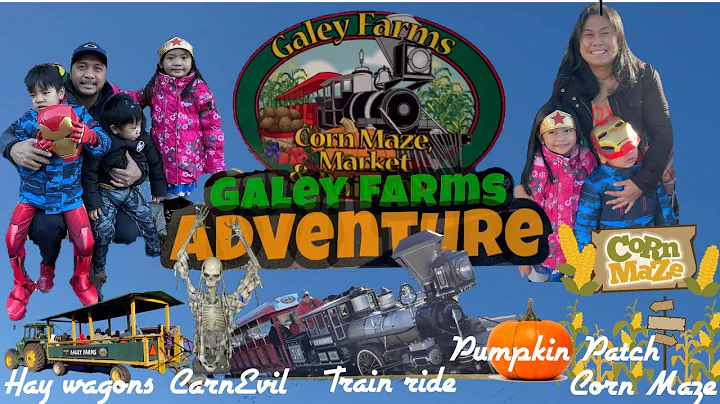 GALEY FARMS ADVENTURE || TRAIN RIDE, CORN MAZE, CA...