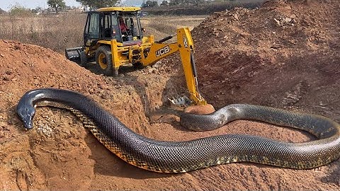 JCB 3dx Backhoe Loading Mud in Mahindra 475 JCB khudai work #jcb #jcbvideo #farming