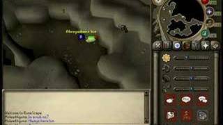 (runescape)hypercam test