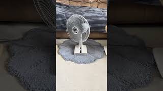 Symphony of 4 12” Sanyo oscillating desk fans #fancollection #electricfan #shorts