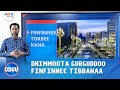 DHIMMOOTA GURGUDDOO FINFINNEE TIBBANAA DHIMMOOTA GURGUDDOO FINFINNEE TIBBANAA