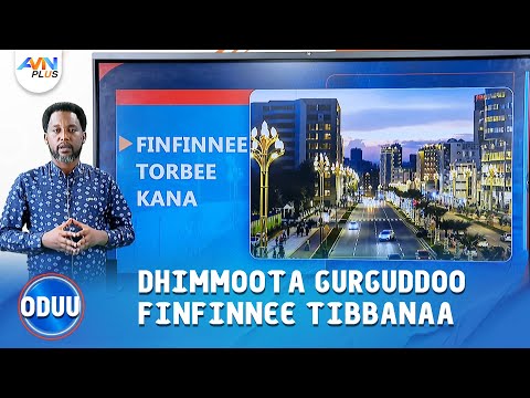 DHIMMOOTA GURGUDDOO FINFINNEE TIBBANAA