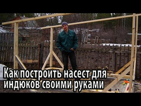 Как сделать насест для индюков своими руками