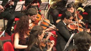 Wolfgang Amadeus Mozart - Symphony No. 40, In G Minor, Kv 550 - 1St Movement - Molto Allegro Resimi