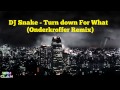 DJ Snake - Turn Down For What (Onderkroffer Remix)