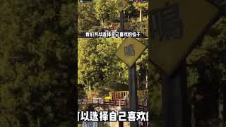 台湾旅游2024 ｜ 宜兰太平山 #shorts