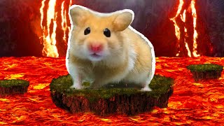 LAVA Floor With Hamster Obstacle Course Traps Maze in Hamster Stories