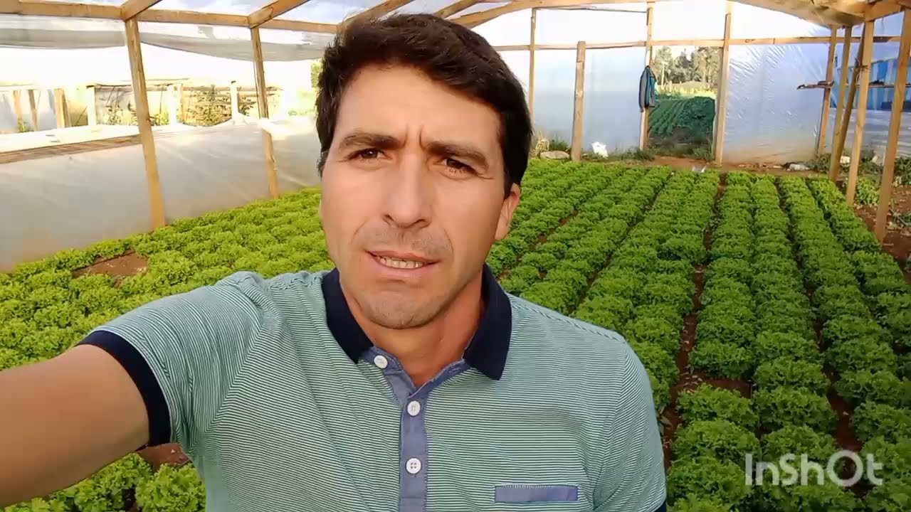 tips para la construccion de un invernadero "porque tu lo pediste "