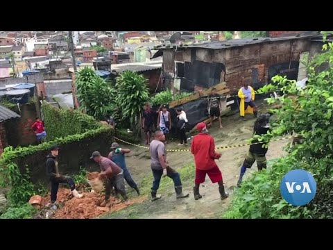 Video: Radošie veidi, kā iekļaut savu suņu jūsu nākamajā lielajā paziņojumā