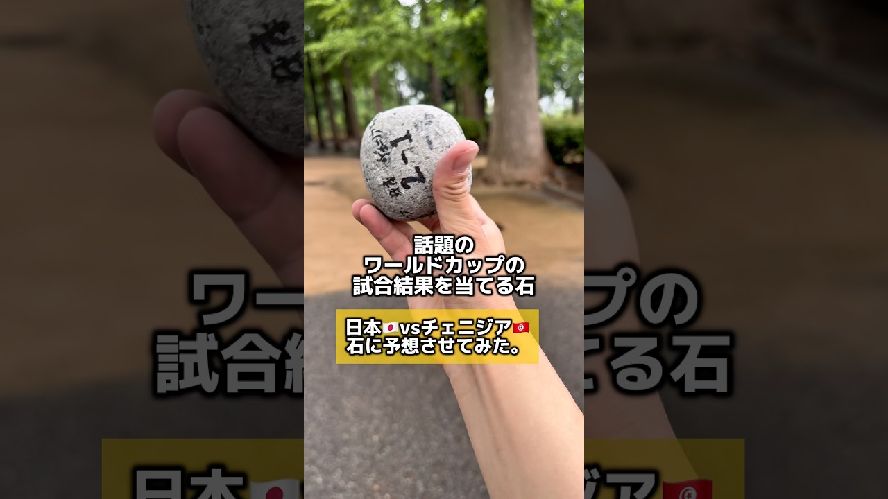 話題の試合結果を当てる石！日本vsチェニジア戦の試合予想を予想させてみた。#ワールドカップ#石蹴男