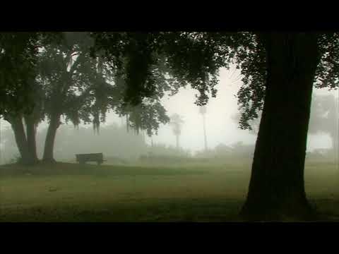 Guarda james king - caring su YouTube Guarda james king - caring su YouTube
