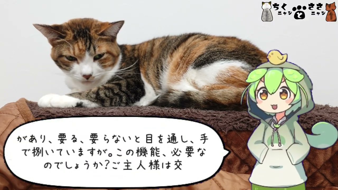 2025年も「ちくニャンとささニャン」を応援してくださり