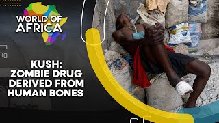 World of Africa | Kush: Drug made out of human bones ravages Sierra Leone youth | WION News