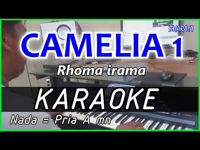 CAMELIA 1 - Rhoma irama KARAOKE DANGDUT COVER Pa800 class=