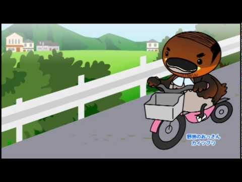 【BBC放送番組】知ったかぶりカイツブリ物語３