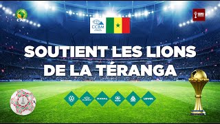 Soutien aux Lions de la Téranga