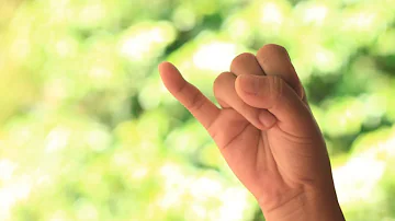 Cosa rappresenta il mignolo?
