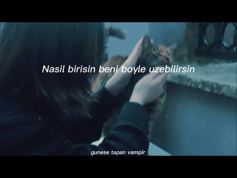 Koca bi saçmalık - sözleri (sped up)