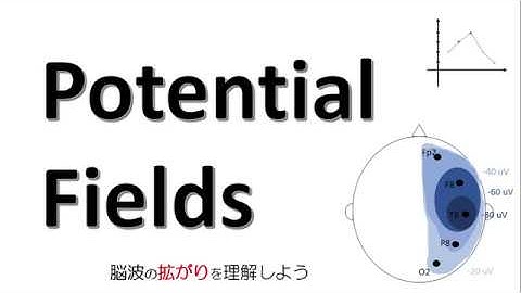 Potential Fields：脳波の拡がりを理解しよう