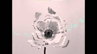 The Naked and Famous - In Rolling Waves (Full Album)