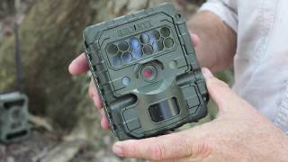 Renaming camera trap pictures screenshot 5