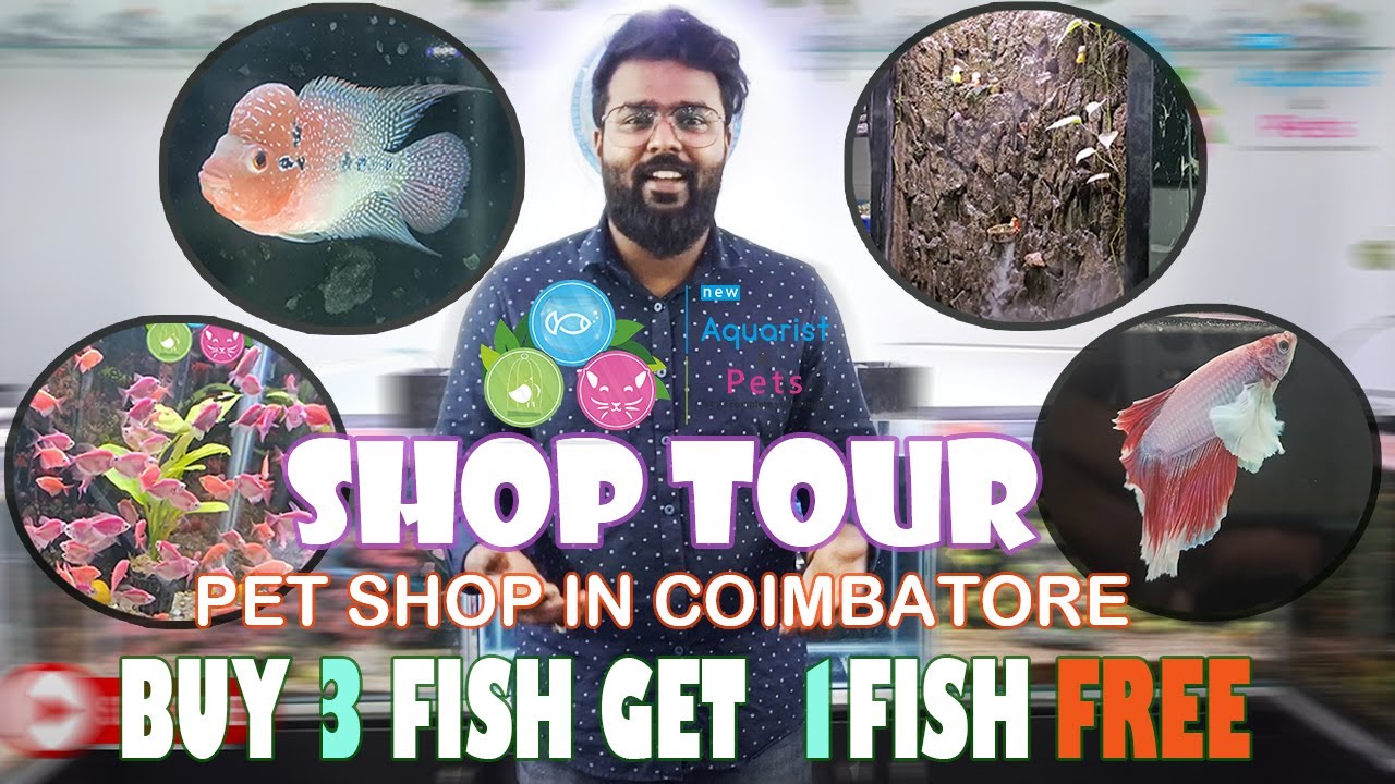 SHOP TOUR PET SHOP NEW AQUARIST AND PETS COIMBATORE PODANUR