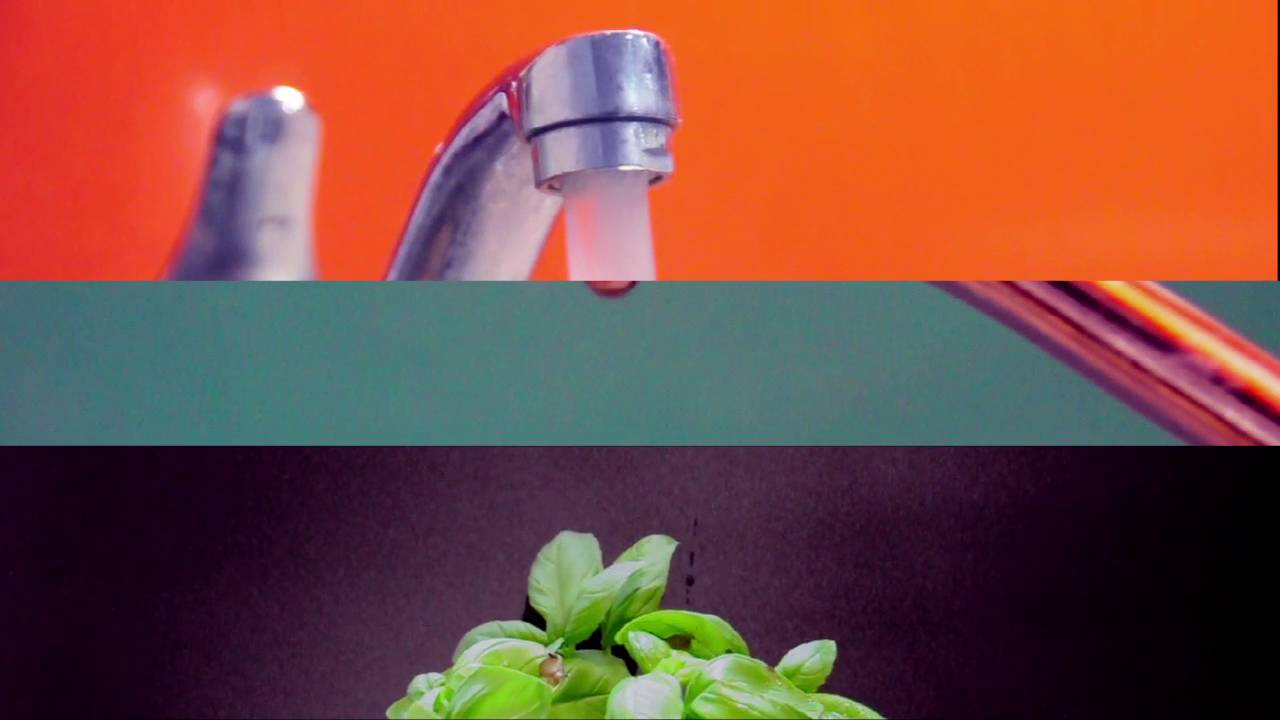 Tap Drip Plant YouTube