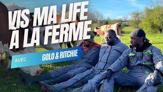 J'emmène Golo & Ritchie à la ferme