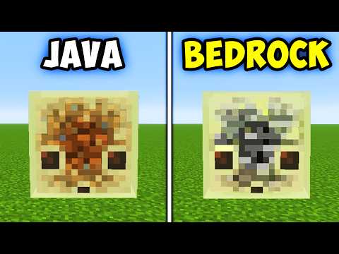 50 Minecraft Java vs Bedrock Things