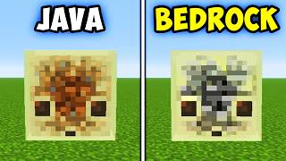 50 Minecraft Java vs Bedrock Things