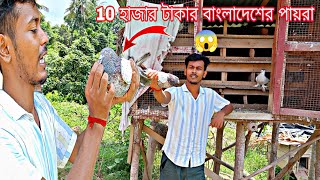 আজ চলে গেলাম 10 হাজার টাকা বাংলাদেশের পায়রা দেখতে শায়ন ভাই এর বাড়ি