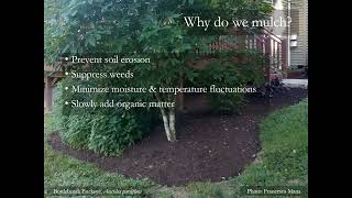 Native Groundcovers: Sustainable, Living Mulch - Randi Eckel