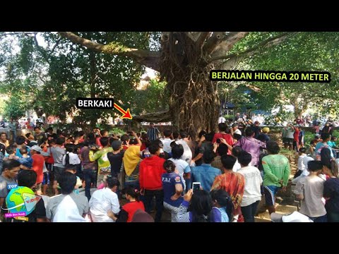 Video: Keajaiban Alam Yang Nyata - Pemandian Setan - Pandangan Alternatif