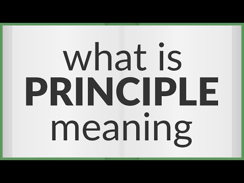 Video: Ką reiškia principas?