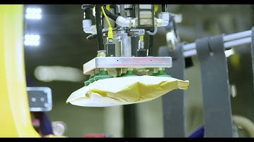 Meet Robin the Robot