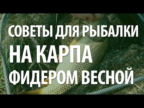 КАК ЛОВИТЬ КАРПА на ФИДЕР ВЕСНОЙ. КАРПОВАЯ ВЕСЕННЯЯ РЫБАЛКА на ПЛАТНИКЕ КАК ЛОВИТЬ КАРПА на ФИДЕР ВЕСНОЙ. КАРПОВАЯ ВЕСЕННЯЯ РЫБАЛКА на ПЛАТНИКЕ