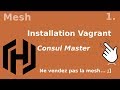 Mesh  1 installation du master de la registry consul