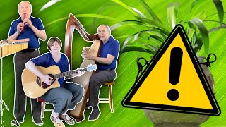 Greensleeves Parody Song - Green Leaves (For Unwitting Plant Killers)